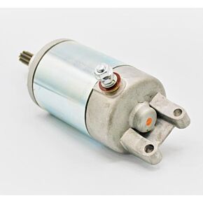 RICKS Starter Motor