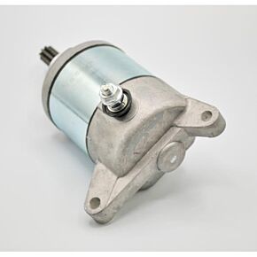 RICKS Starter Motor