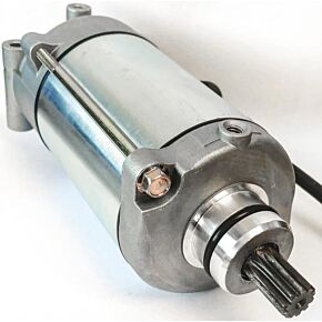 RICKS Starter Motor