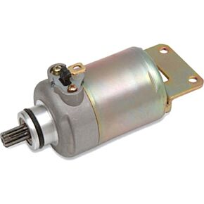 RICKS Starter Motor