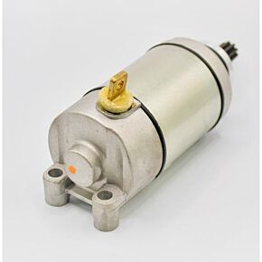 RICKS Starter Motor