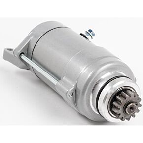 RICKS Starter Motor