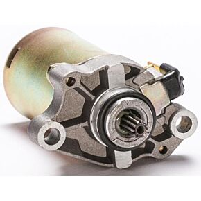 RICKS Starter Motor