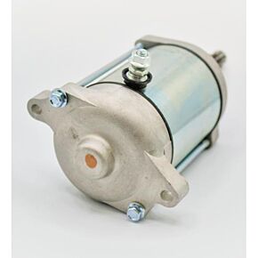 RICKS Starter Motor