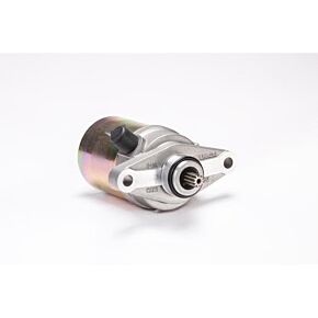 RICKS Starter Motor