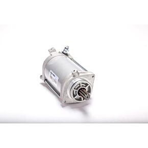 RICKS Starter Motor