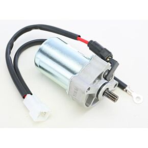 RICKS Starter Motor