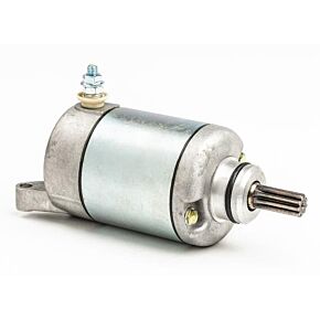 RICKS Starter Motor
