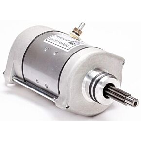 RICKS Starter Motor