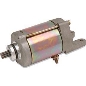 RICKS Starter Motor
