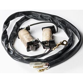 RICKS Stator Kit