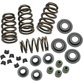 ROCKET PERFORMANCE GARAGE LLC Beehive Conversion Spring Kit Evo Bt 84-03 .650 Lift