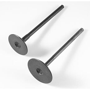 SHINDY Valve Set Pol