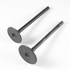 SHINDY Valve Set Pol