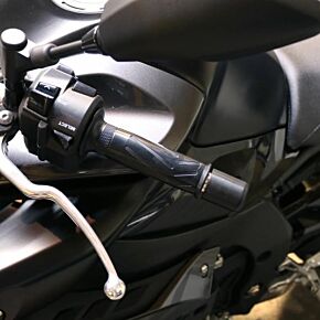 SHOGUN Bar End Sliders Black