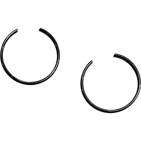 SP1 Circlips
