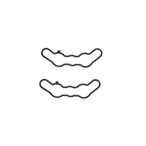 SP1 Exhaust Valve Gasket Set Pol