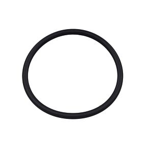 SP1 Fuel Pump Seal