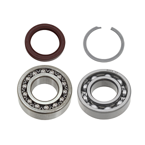 SP1 Jack Shaft Bearing/seal Kit Yam