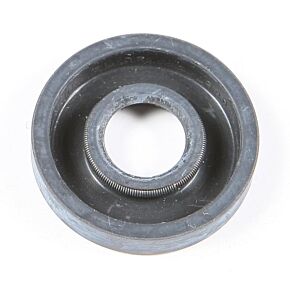 SP1 Oil Seal 12 X 30 X 6