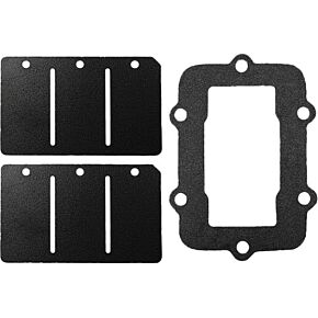 SP1 Reed Valve Rebuild Kit S-d