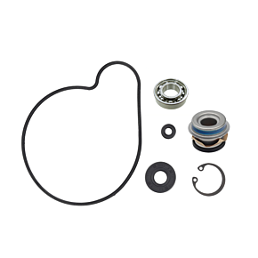 SP1 Water Pump Repair Kit Ac