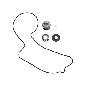 SP1 Water Pump Repair Kit Yam
