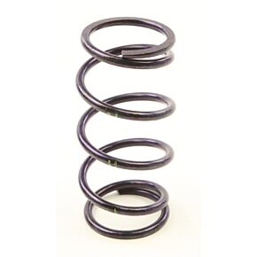 SPEEDWERX Spring- Primary 180-300 Arctic/polaris
