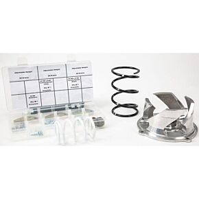 STRAIGHTLINE Clutch Kit With Adj Weights Pol 6k+ Stk Pipe