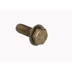 SYSTEM 3 Beadlock 5/16" Bolt (20 Pcs) Cadmium (gold)