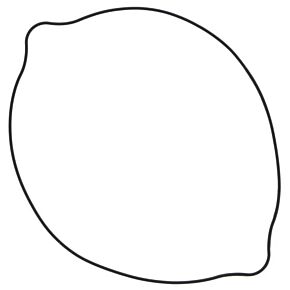 VERTEX Clutch Cover Gasket