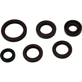 VERTEX Oil Seal Kit Yam