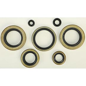 VERTEX Oil Seal Set
