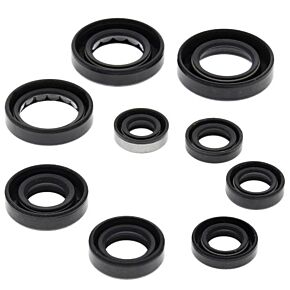 VERTEX Oil Seal Set