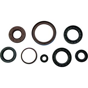 VERTEX Oil Seal Set