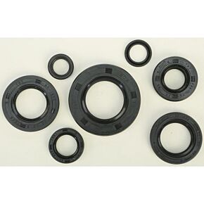 VERTEX Oil Seal Set