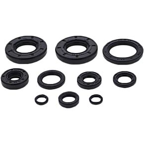 VERTEX Oil Seal Set