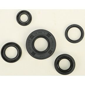 VERTEX Oil Seal Set