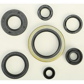 VERTEX Oil Seal Set