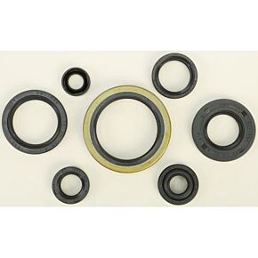 VERTEX Oil Seal Set