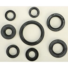 VERTEX Oil Seal Set