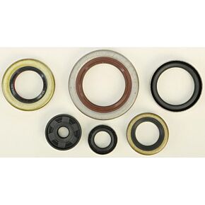 VERTEX Oil Seal Set