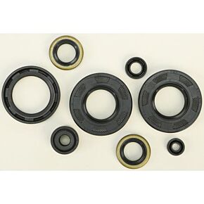 VERTEX Oil Seal Set