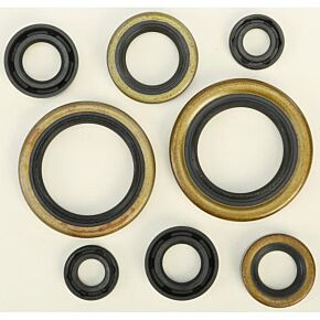 VERTEX Oil Seal Set