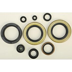 VERTEX Oil Seal Set