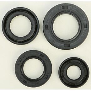 VERTEX Oil Seal Set