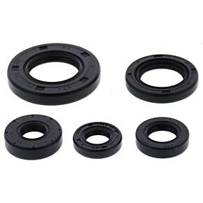 VERTEX Oil Seal Set