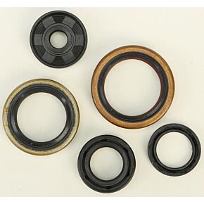 VERTEX Oil Seal Set