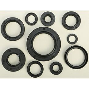 VERTEX Oil Seal Set