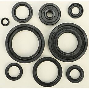 VERTEX Oil Seal Set